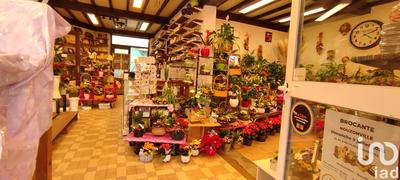 Immeuble - 180 m² - 3 pièces