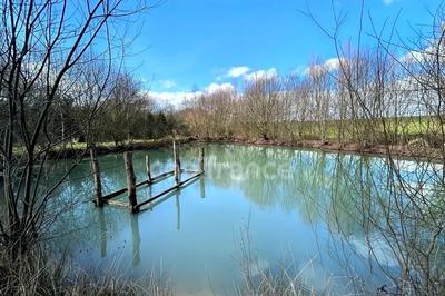 Terrain de loisirs - 8 400 m²