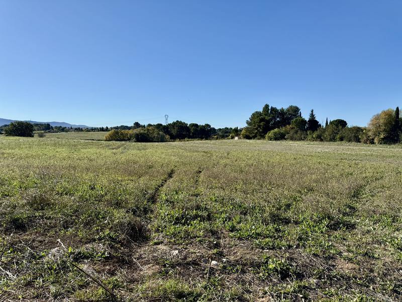 Villa - 280 m² - 8 pièces