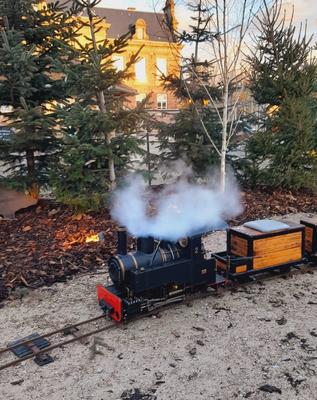 Petit train à vapeur pour les enfants