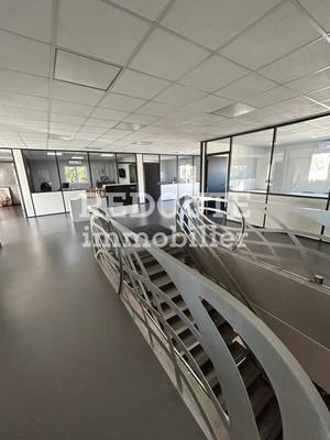 Local d'activité / Entrepôt - 700 m²