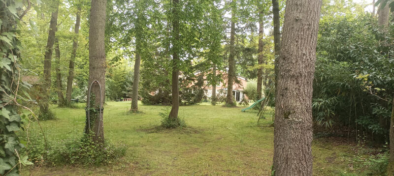 Maison - 262 m² - 7 pièces