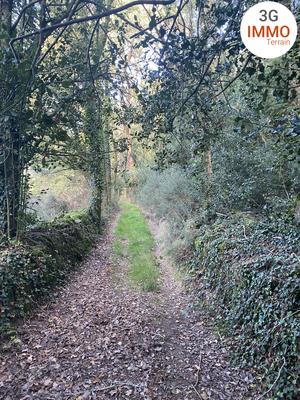 Terrain - 17 766 m²