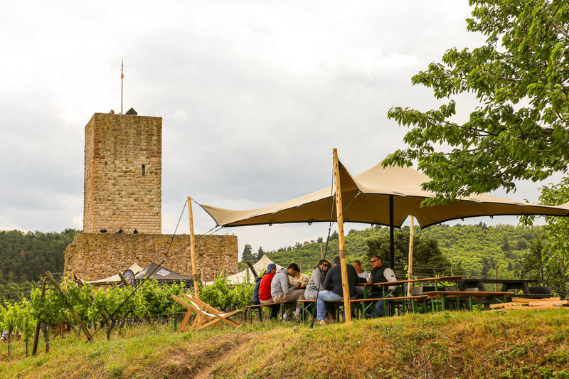 Alsace Rocks ! La Tournée des Terroirs - Etape #8