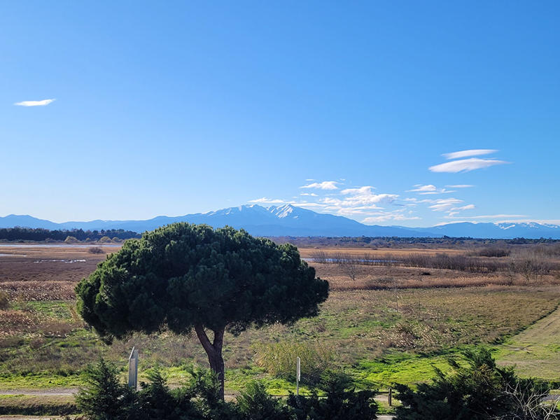 Appartement - 21 m² - 1 pièce