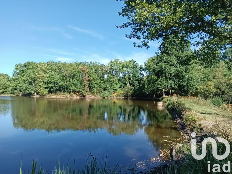 Terrain - 37 398 m²