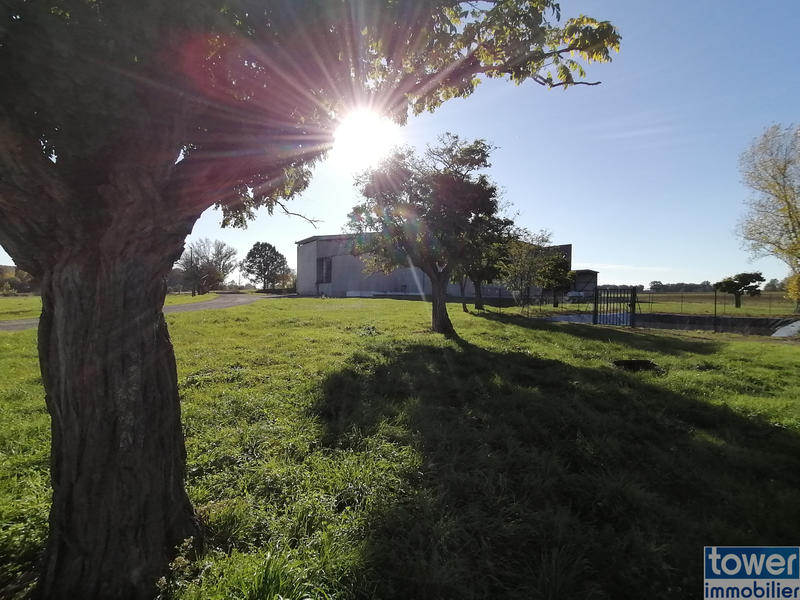 Local d'activités - 2 925 m²