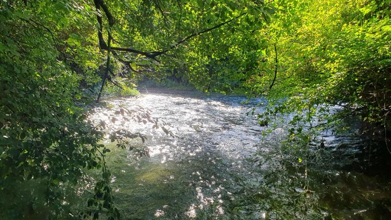 Terrain constructible - 2 540 m²