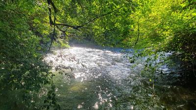 Terrain constructible - 2 540 m²