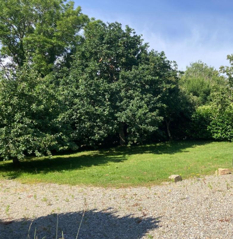 Maison - 63 m² - 3 pièces