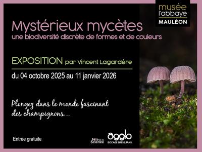 Exposition - Mystérieux mycètes, une biodiversité discrète de formes et de couleurs