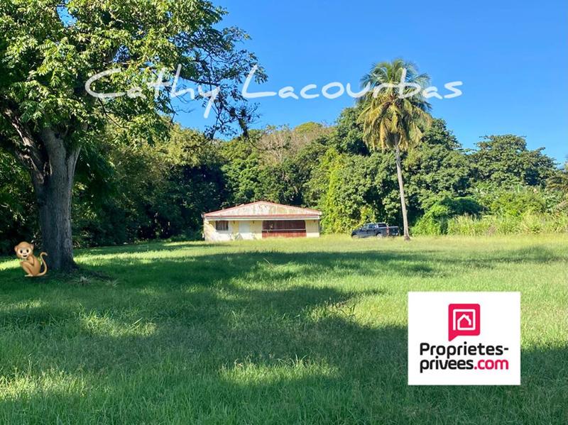 Terrain - 10 000 m²