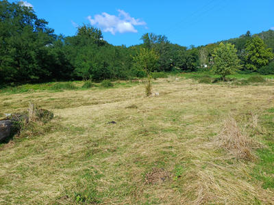 Terrain - 10 000 m²