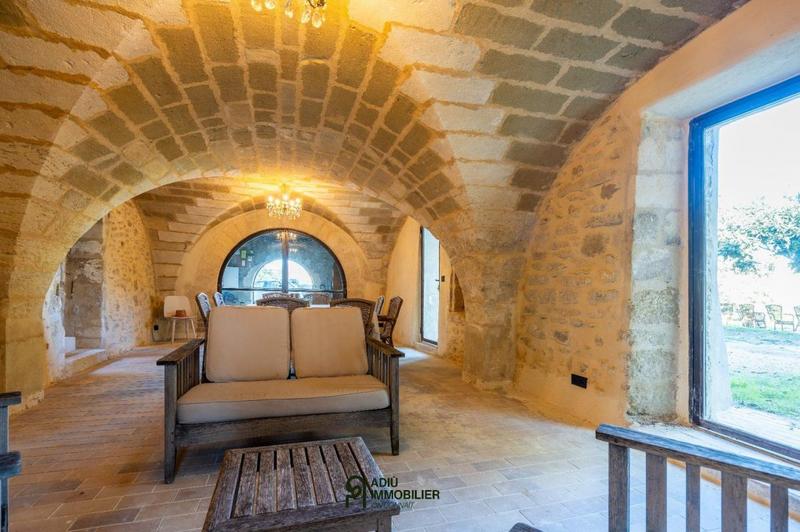 Mas - 300 m² - 10 pièces