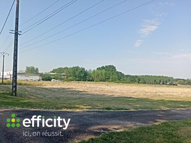 Terrain - 11 000 m²