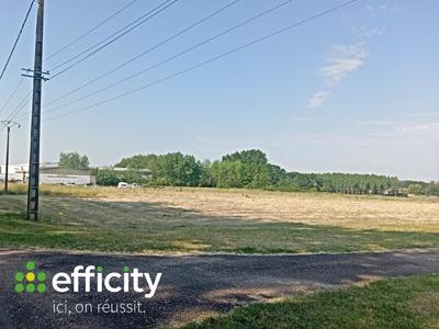 Terrain - 11 000 m²