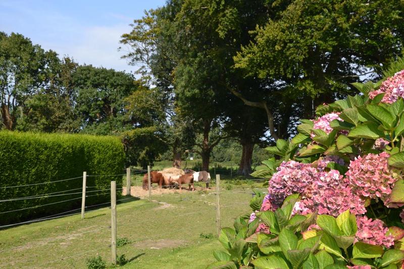 Maison de maîtres - 85 m² - 6 pièces