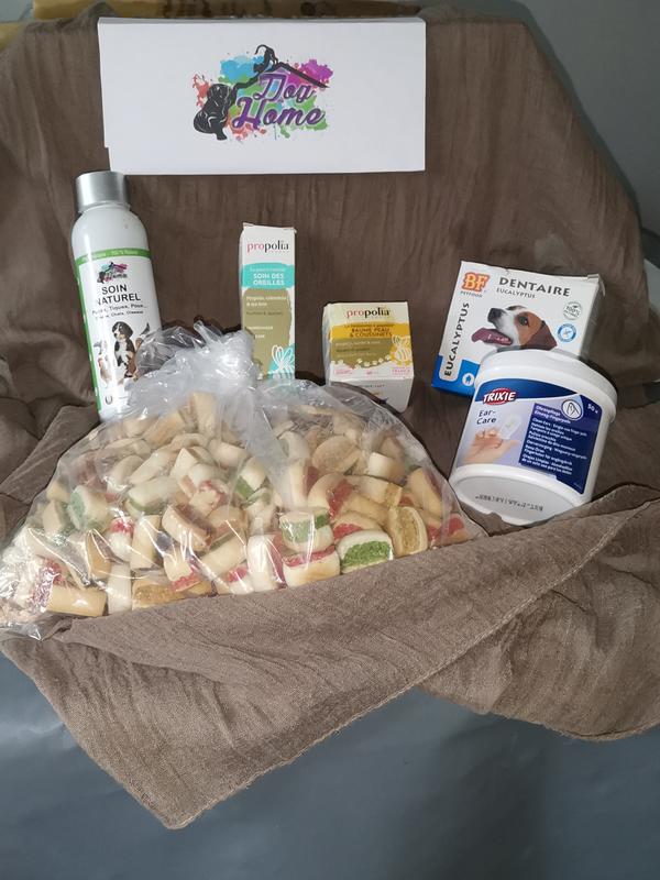 Christel Haule Coach Vdi Dog Home 62