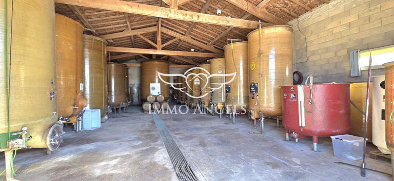 Mas - 240 m² - 13 pièces