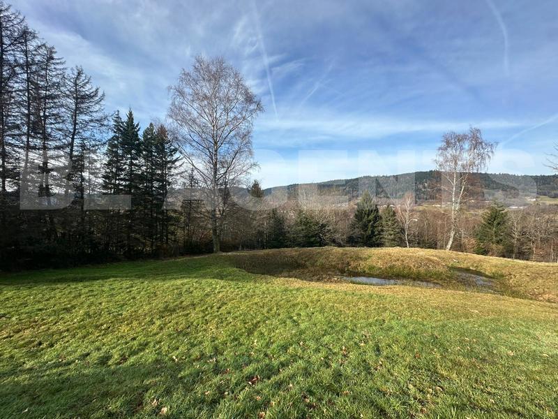 Maison - 270 m² - 8 pièces