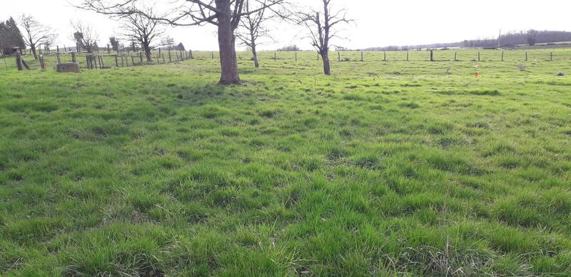 Terrain constructible - 1 037 m²