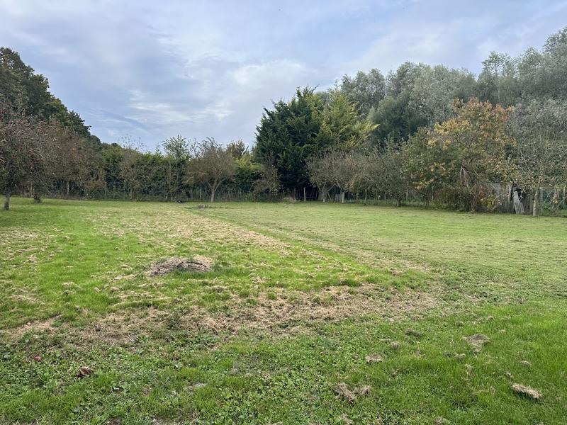 Maison ancienne - 110 m² - 6 pièces