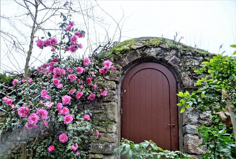 Maison - 251 m² - 9 pièces