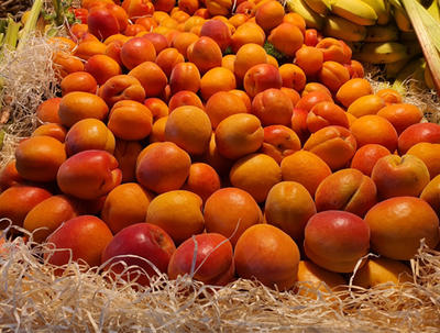 Saveurs O'Naturel - les Américains Nantes