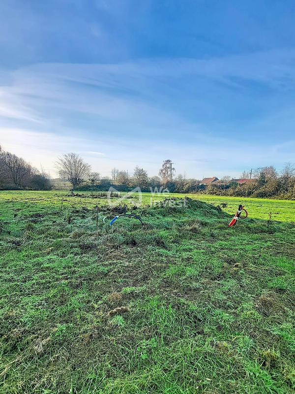 Terrain - 11 965 m²