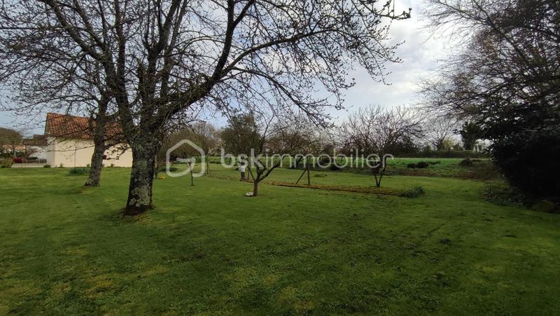 Terrain - 977 m²