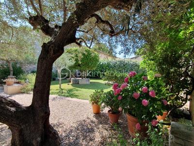 Mas - 260 m² - 10 pièces