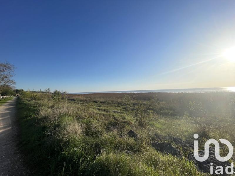 Maison - 75 m² - 3 pièces