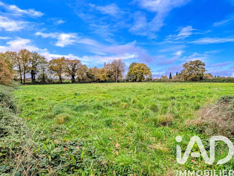 Maison de campagne - 258 m² - 7 pièces