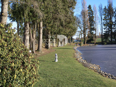 Propriété - 150 m² - 8 pièces