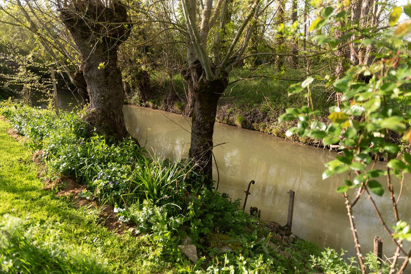 Maison - 245 m² - 5 pièces