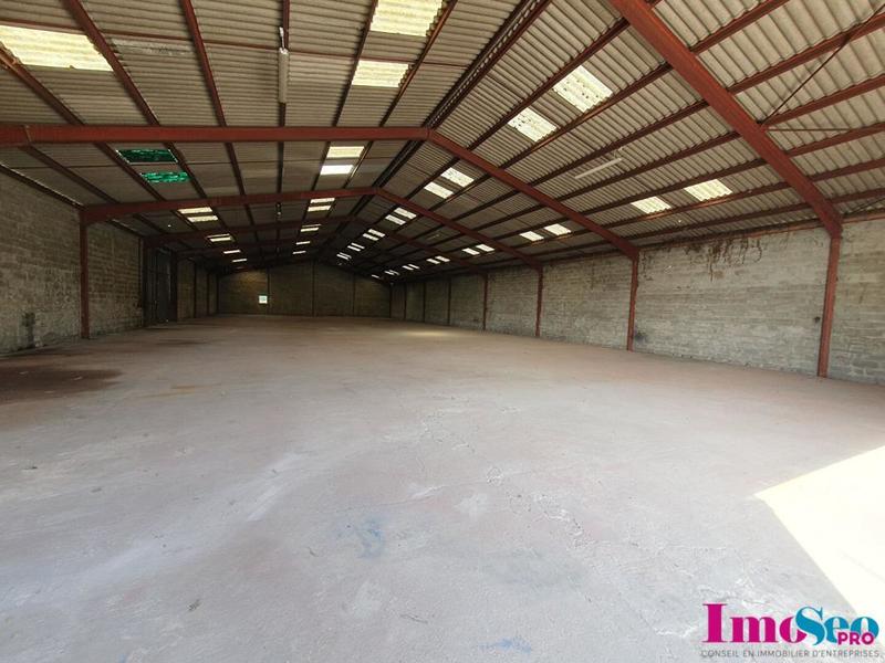 Local d'activité / Entrepôt - 1 000 m²