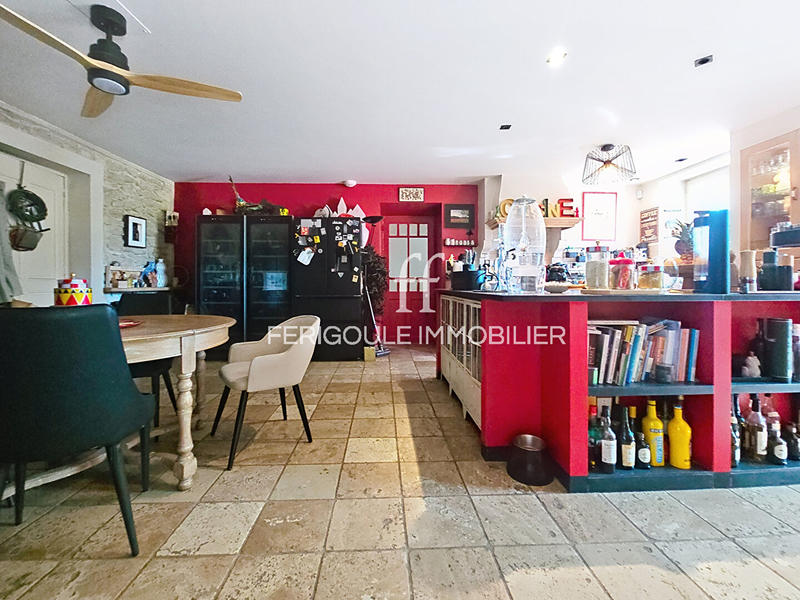 Mas - 353 m² - 10 pièces