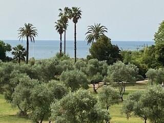 Maison - 34 m² - 2 pièces