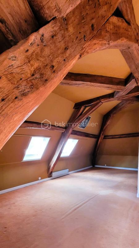 Hôtel particulier - 440 m² - 14 pièces