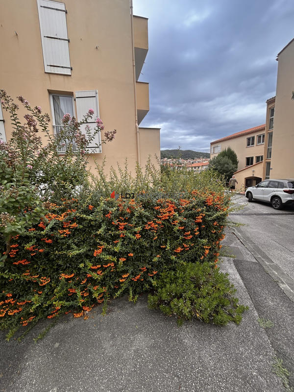 Appartement - 30 m² - 1 pièce