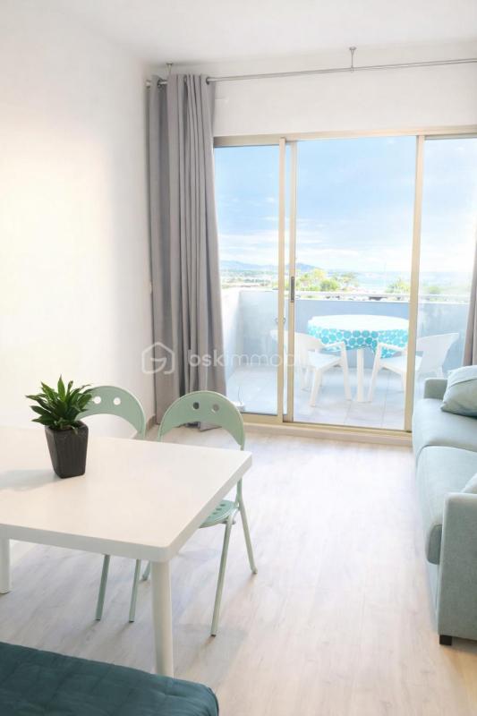 Studio - 24 m² - 1 pièce