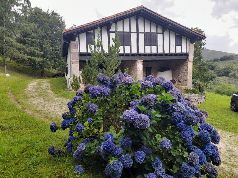 Propriété - 220 m² - 8 pièces