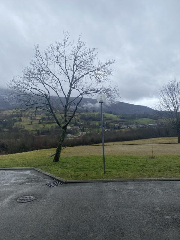 Appartement - 35 m² - 2 pièces