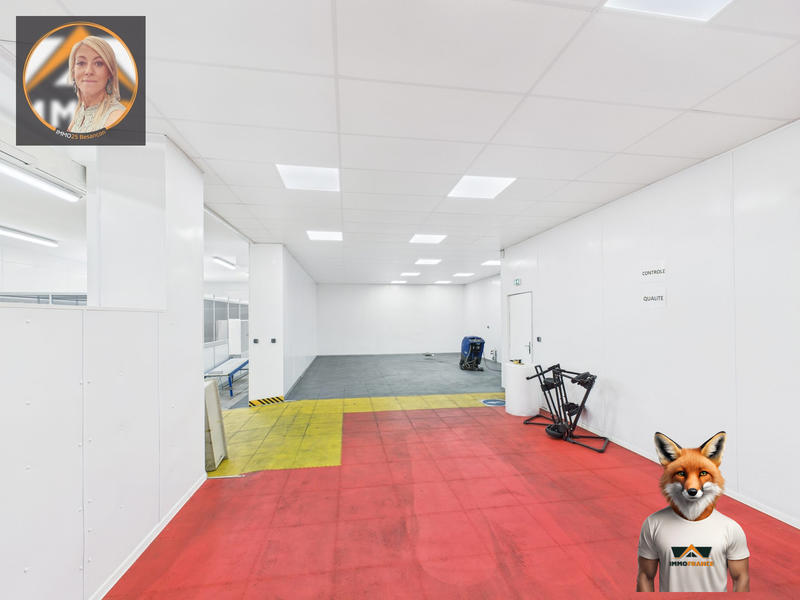 Local d'activités - 2 595 m²