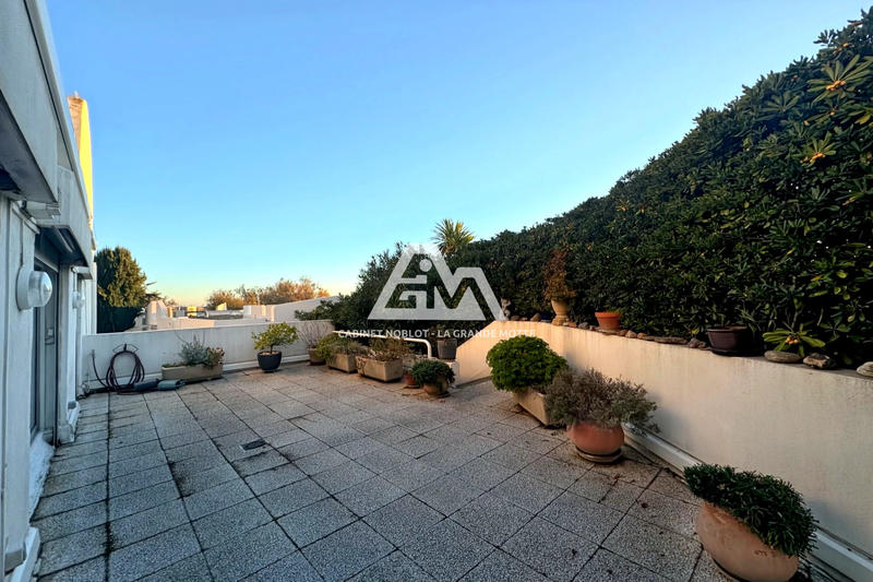 Appartement - 76 m² - 4 pièces