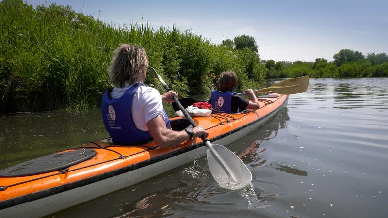 Sortie en kayak de mer - Découverte du delta de l'Eyre et du Bassin d'Arcachon