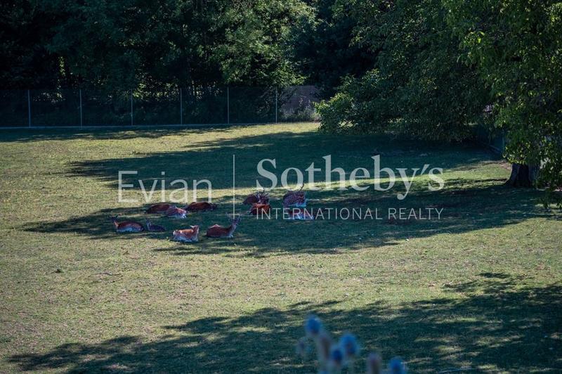 Château - 1 204 m² - 19 pièces