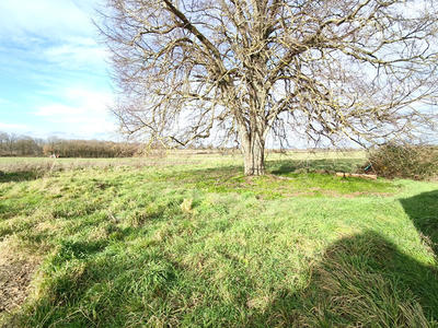 Maison - 120 m² - 3 pièces