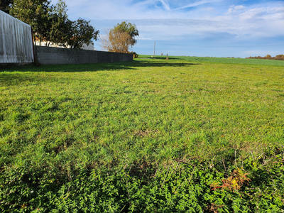 Terrain - 504 m²