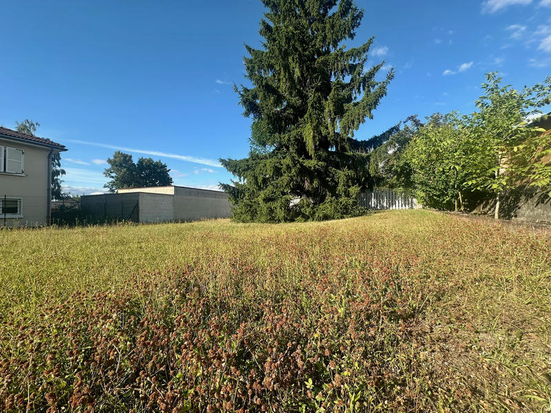 Terrain - 590 m²
